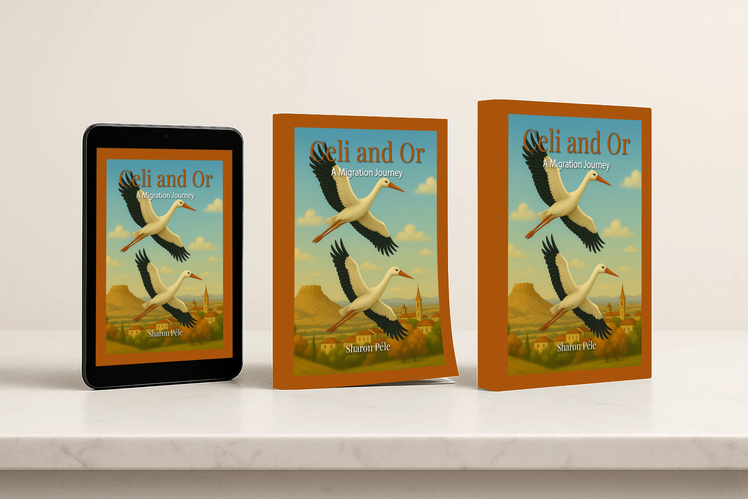 a book 3 cover english only 1