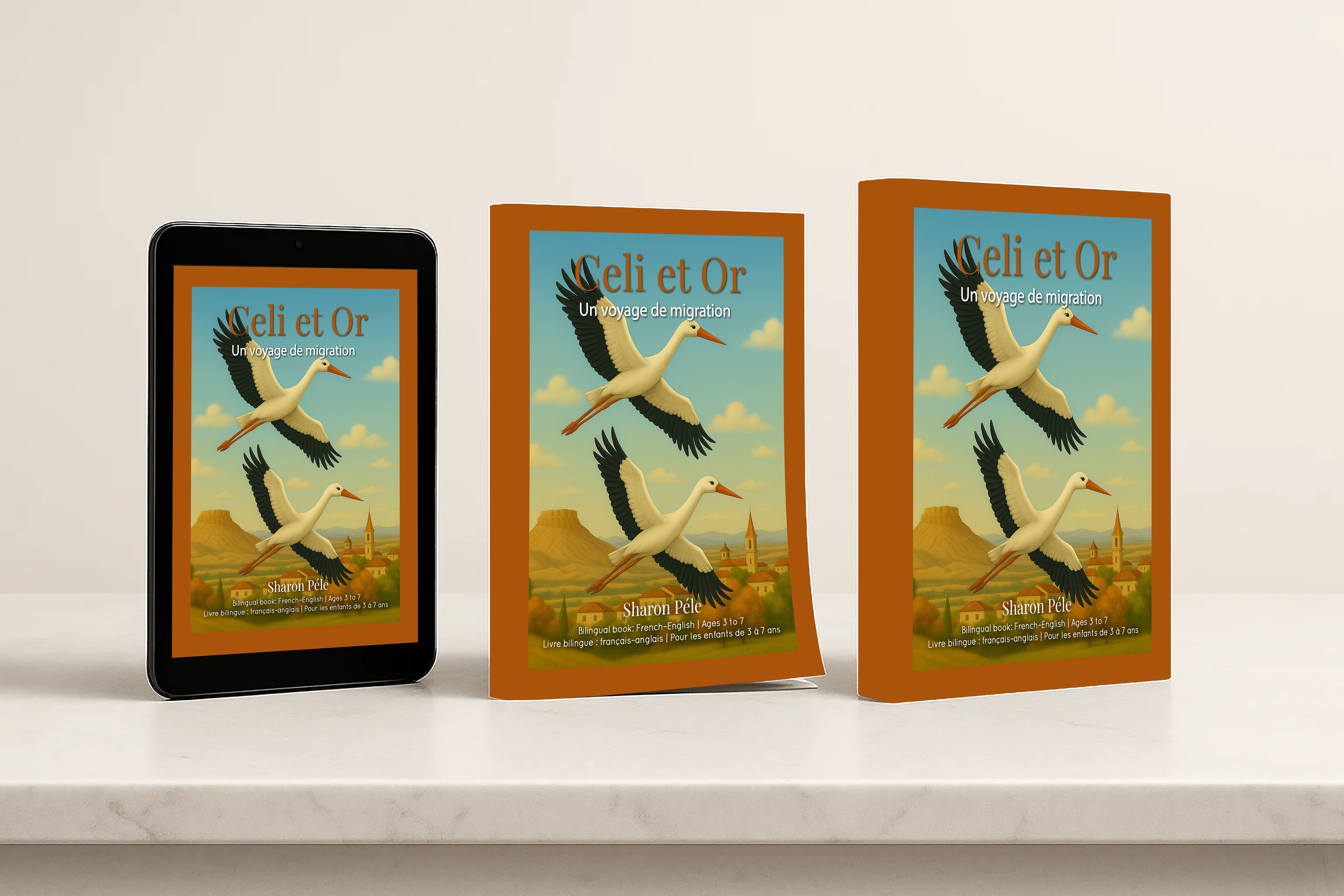 a book 3 cover french english 1